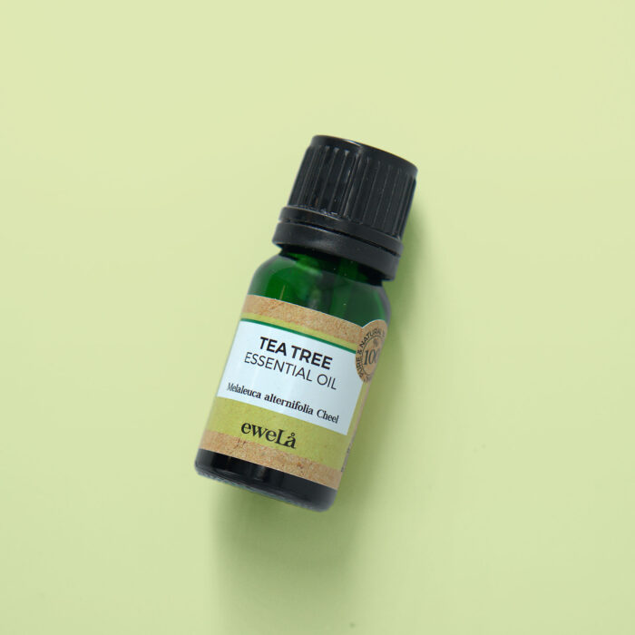 TEA TREE ESSENTIAL OIL (100% Natural) - Image 5