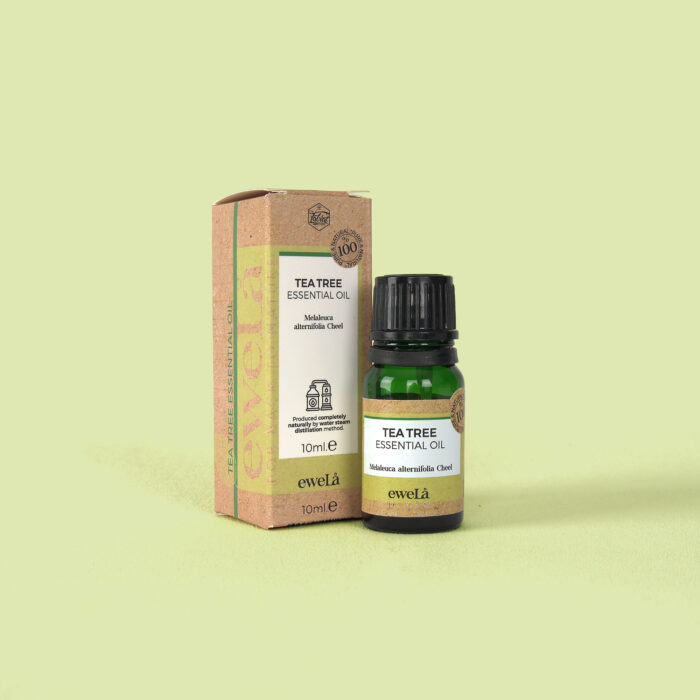 TEA TREE ESSENTIAL OIL (100% Natural) - Image 4