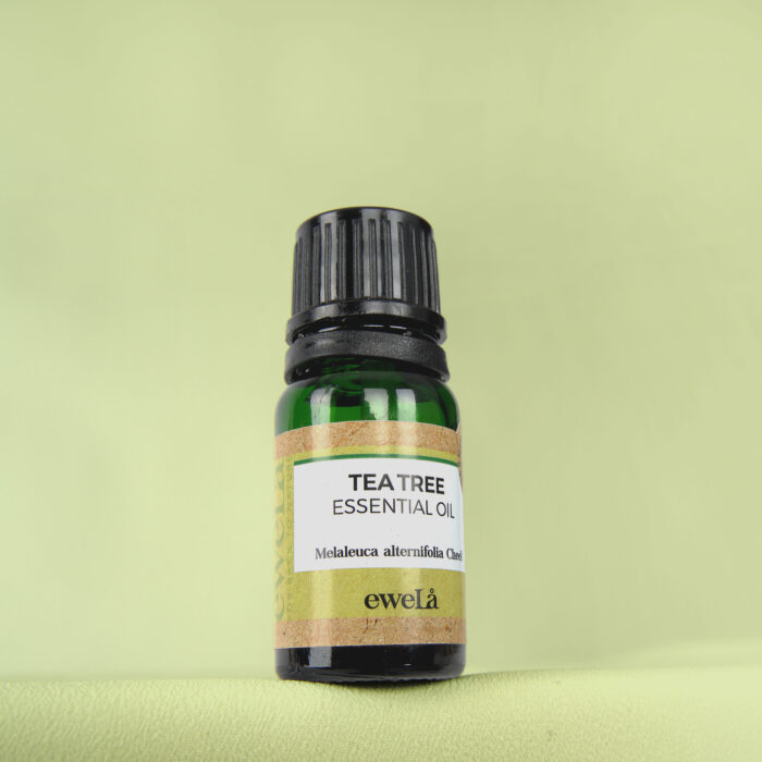 TEA TREE ESSENTIAL OIL (100% Natural) - Image 3