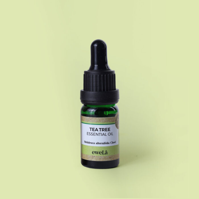 TEA TREE ESSENTIAL OIL (100% Natural) - Image 2